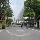 은행나무종합동물병원 | 도쿄여행 우에노 가볼만한 곳 도쿄대 산책 후기