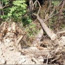 전원개발 이미지