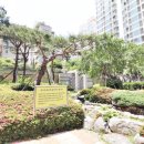 행운합동공인중개사사무소 이미지