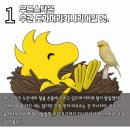 우드스탁 이미지