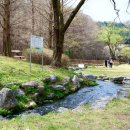 구갈레스피아 게이트볼장 이미지