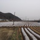 은형농장 네이버블로그