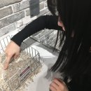 사랑-문을 열다 | [서울 커플 놀거리 전시 추천] 룸 포 원더: 상상의 문을 열다 후기