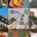 신평동1061 이미지