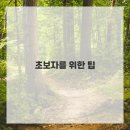 태블릿 디지털 드로잉 이미지