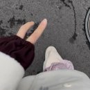 정인브이티 | jeju with me (2)