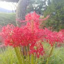 여산농장 이미지