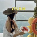 하루참치 수영점 | [괌] 비 오는 날 돌고래와칭 내돈내산 드림돌고래 투어 후기, 수영 시간, 준비물, 옷차림