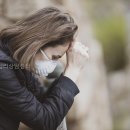 마음모아심리상담센터
