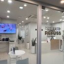 레푸스 화정점 이미지