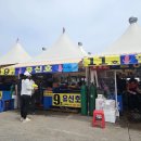 시기 | 속초 동명항 오징어난전 - 가격 싯가, 제철 시기, 내돈내산 후기