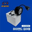 해초롱 이미지