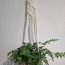 구미대로32길-1 이미지