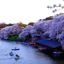 중앙로6길 이미지