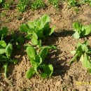 선유농장 이미지