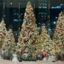 모닝약국 | 호캉스 / 조선 팰리스 서울 강남 31층 마스터스룸 후기 (모닝 테이스트 + 쿠키&amp;커피 + 팰리스 딜라이트)