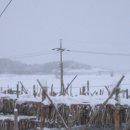 황태덕장 이미지