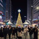 바다를 꿈꾸는 빛의 물결, 해운대 이미지