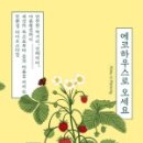 에코하우스 이미지