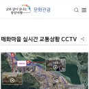 해돋이정보화마을 | 2026년 광양 매화축제 3/9 실시간 개화 상태(주차/셔틀버스 꿀팁)