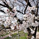 삼기천1 이미지