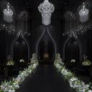 벨라마레 이미지