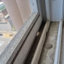 클린업홈케어 이미지