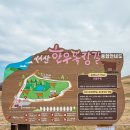 개나리목장 이미지