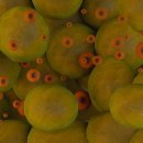 하우메드 이미지