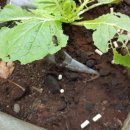 경산농약사 이미지