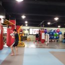 슈퍼스타짐2 티스토리
