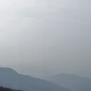 G1167 이미지