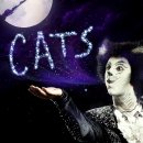 (공연) 캣츠 오리지널 내한공연1 이미지