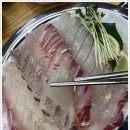 속초오징어어시장 안산고잔점 이미지