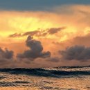 오늘 함께 이미지