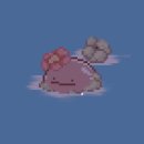 숲속의 계곡 이미지