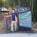 씨릉섬출렁다리 이미지