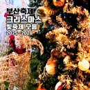 연산교차로(연일시장 방면) | 부산 크리스마스 트리 빛축제 일정 모음 2025 연말 볼거리