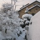 옛집황토방 이미지