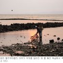 은빛여울목 | 바다에 살어리랏다.