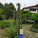 이원보건지소 이미지