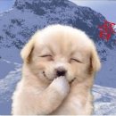 한잔어때 이미지