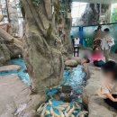 경주부화장 이미지