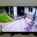 번영3로 미니스톱 앞 CCTV | 고흥cctv 설치 후기입니다.