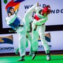 월드태권도 이미지