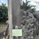 (학습다방)핸드드립 | [제주 / 제주시 애월읍] 핸드드립 커피가 맛있는 제주감성카페 추천 '소길다방'