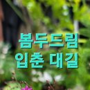 엄지 공주 이미지