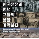 평택-평택-14 네이버블로그