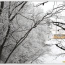 신도펜션 이미지