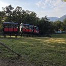 연사랑 목장 | 거제 숲소리공원 모노레일: 가을에 다녀온 아이와 가기좋은 힐링 후기(최신정보)